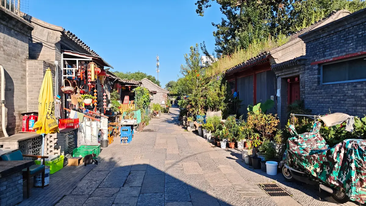 A paved hutong lane lined with grey-brick courtyard walls, potted plants and parked scooters on a sunny day