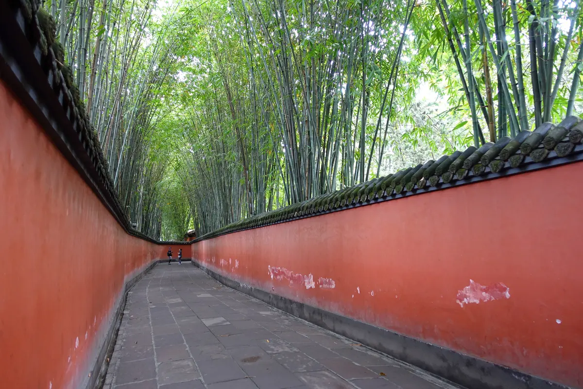 A narrow paved lane running between two tall red walls with grey tiled tops, under a canopy of tall bamboo