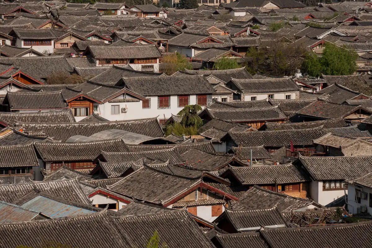 A dense spread of grey-tiled roofs with upturned eaves and white gable walls in Lijiang Old Town, broken by a few trees